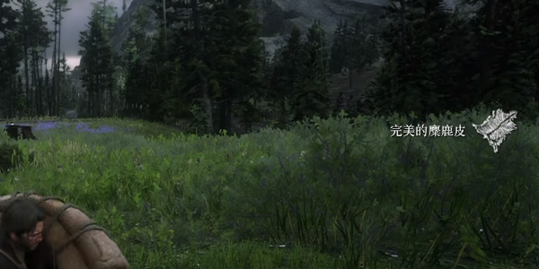 《荒野大镖客2》完美麋鹿皮获得方法介绍