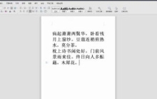 WPS2019的显示垂直标尺设置方法详解