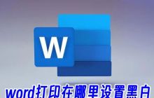 如何在Word中设置黑白打印？如何在Word中查看打印预览？