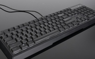 The Difference Between the Razer Sano Wolf Spider and the Rainforest Wolf Spider