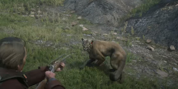 Pengenalan kepada cara mendapatkan kulit cougar yang sempurna dalam Red Dead Redemption 2