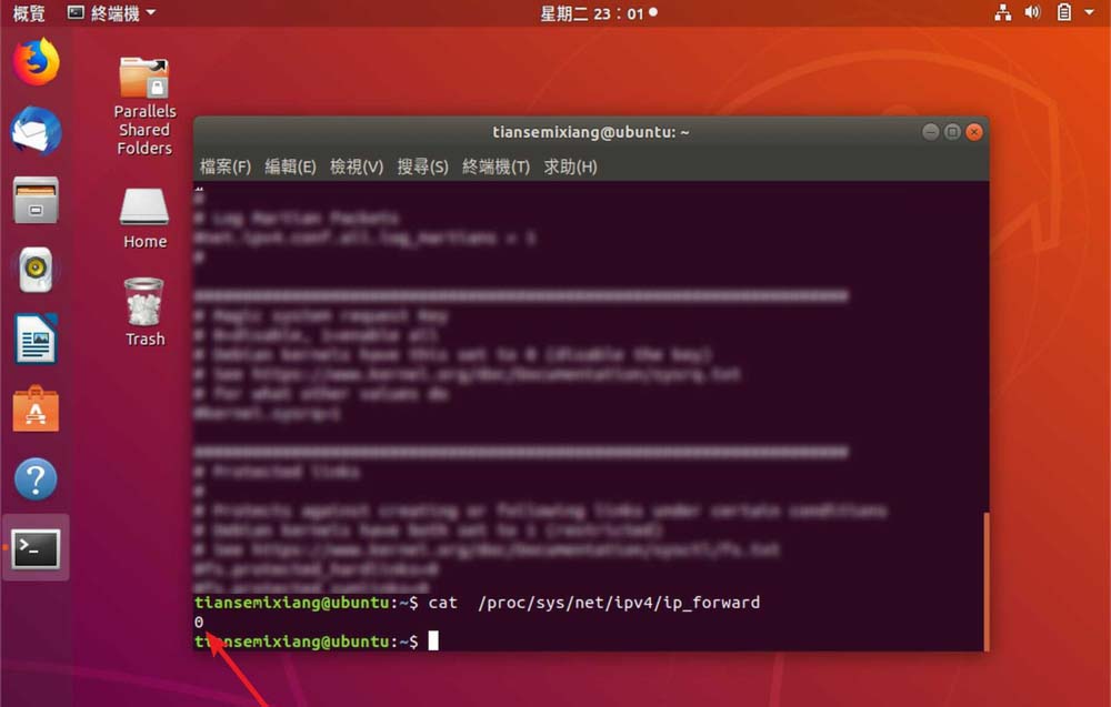 如何检查Linux系统的路由转发功能是否启用？