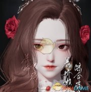 《以闪亮之名》挚爱捏脸数据id一览