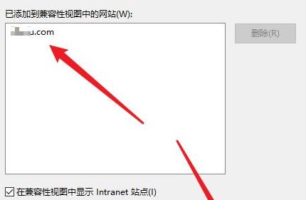 Win11安裝及設定相容網路點的詳細指南