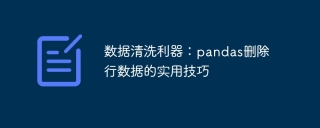 Data cleaning tool: practical tips for deleting row data in pandas