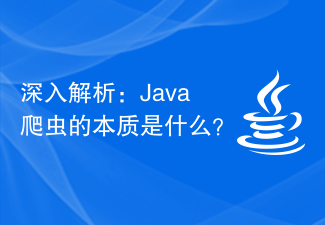 In-depth analysis: What is the essence of Java crawler?