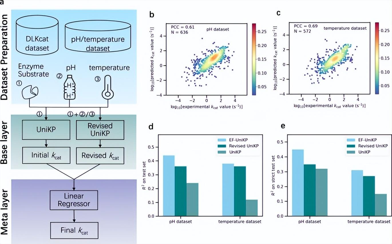 Léquipe de lAcadémie chinoise des sciences crée un cadre unifié pour améliorer la précision des prévisions des paramètres cinétiques des enzymes