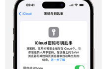 iCloud 钥匙串的使用方法，iPhone 15 系列的教程分享