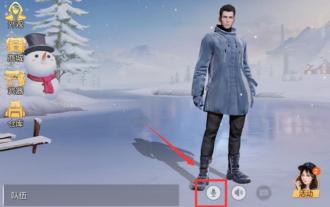 So lösen Sie das Problem der Mikrofonstummschaltung in Win10 Knives Out