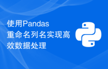 使用Pandas重命名列名实现高效数据处理