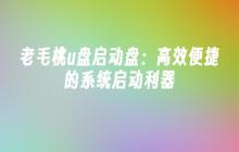 老毛桃u盘启动盘：高效便捷的系统启动利器