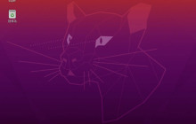 ubuntu20.04左侧面板怎么移到底部? ubuntu去掉左侧面板的技巧