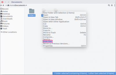 How to hide files and folders in file manager