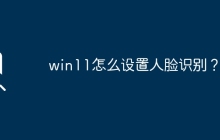 win11怎么设置人脸识别？