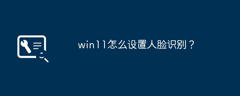 Win11에서 얼굴 인식을 설정하는 방법은 무엇입니까?