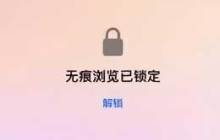 Safari 浏览器如何取消无痕浏览？