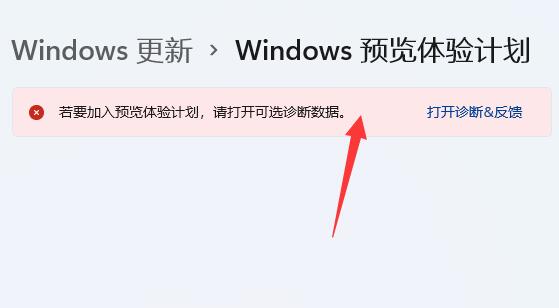 Win11功能體驗包是否為正式版？