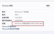 Win11功能体验包是否为正式版？
