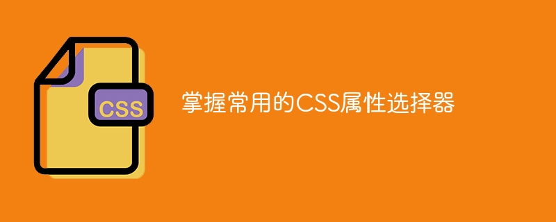 Proficient in using common CSS attribute selectors