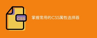 熟練運用常見的CSS屬性選擇器