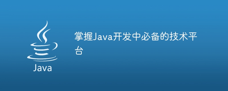 Java 개발에 능숙해지는 데 필요한 기술 플랫폼