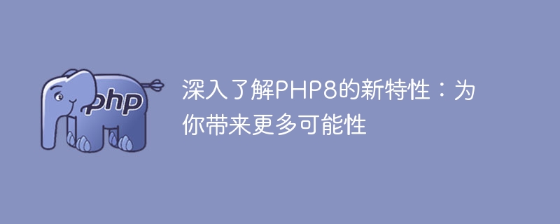 PHP8 の革新的な機能を探る: 無限の可能性を開く