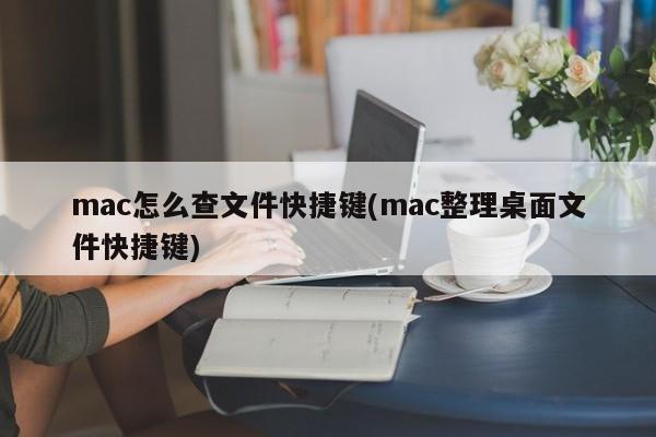 Mac でファイルをすばやく見つける方法 (デスクトップ ファイルを整理するショートカット)