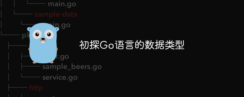 了解Go语言的数据类型初步