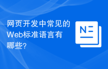 网页开发中常见的Web标准语言有哪些？