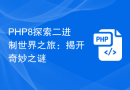 PHP8探索二进制世界之旅：揭开奇妙之谜