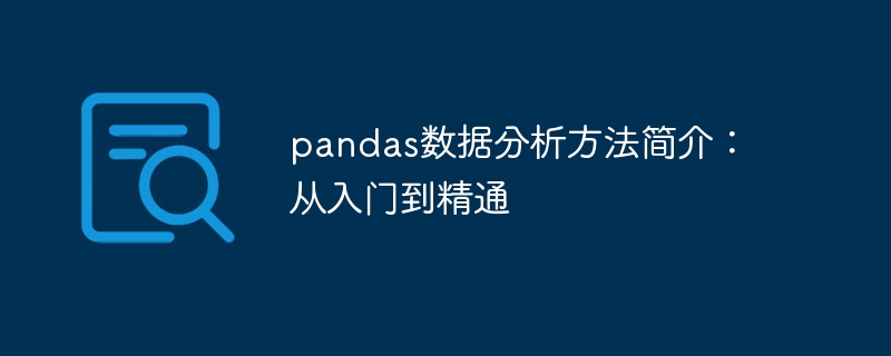 Analyse complète des compétences danalyse des données des pandas : du débutant à lexpert