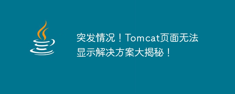 Tomcat 페이지 오류에 대한 해결책을 공개하세요!