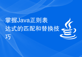 Java 정규식 일치 및 대체 기술 마스터