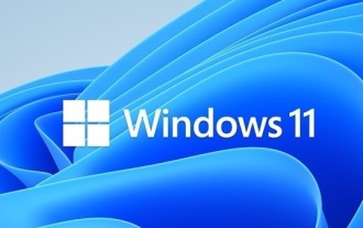 Beheben von Win11-Fehlern und -Problemen