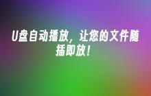 插上U盘即可自动播放文件，轻松享受随时随地的播放！
