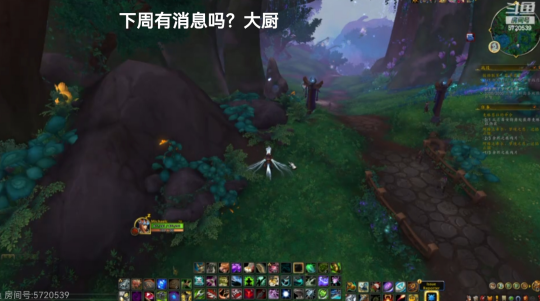 最详尽暴雪舅舅曝光:国服或将在下周官方公布,并揭露14项内幕情报