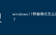 如何启用Windows 11的野兽模式？