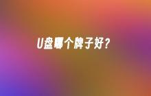 哪个牌子的U盘性能好？
