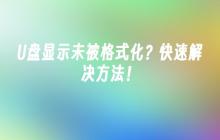 快速解决未被格式化的U盘显示问题！