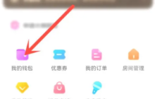 如何查询带带陪玩APP的收入