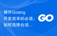 提升Golang开发效率的必读：如何选择合适的IDE