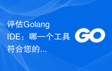 评估Golang IDE：哪一个工具符合您的编程风格？