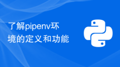 Understand the definition and functions of the pipenv environment