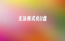 U盘无法进行格式化
