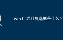 了解win11项目中的复选框功能是什么？