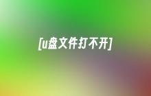 [U盘中的文件无法被访问]