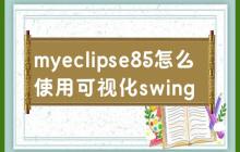 如何使用Swing进行可视化编程 in MyEclipse8.5