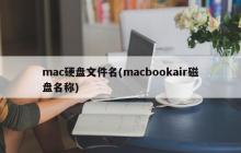 Mac电脑的硬盘命名(macbook air磁盘标识)