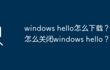 如何获取Windows Hello？ 如何禁用Windows Hello？