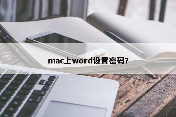 mac上word设置密码？